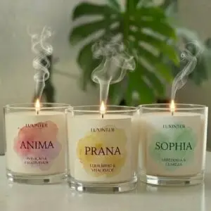 coleção trindade, vela anima, prana e sophia em uma base, com uma planta ao fundo